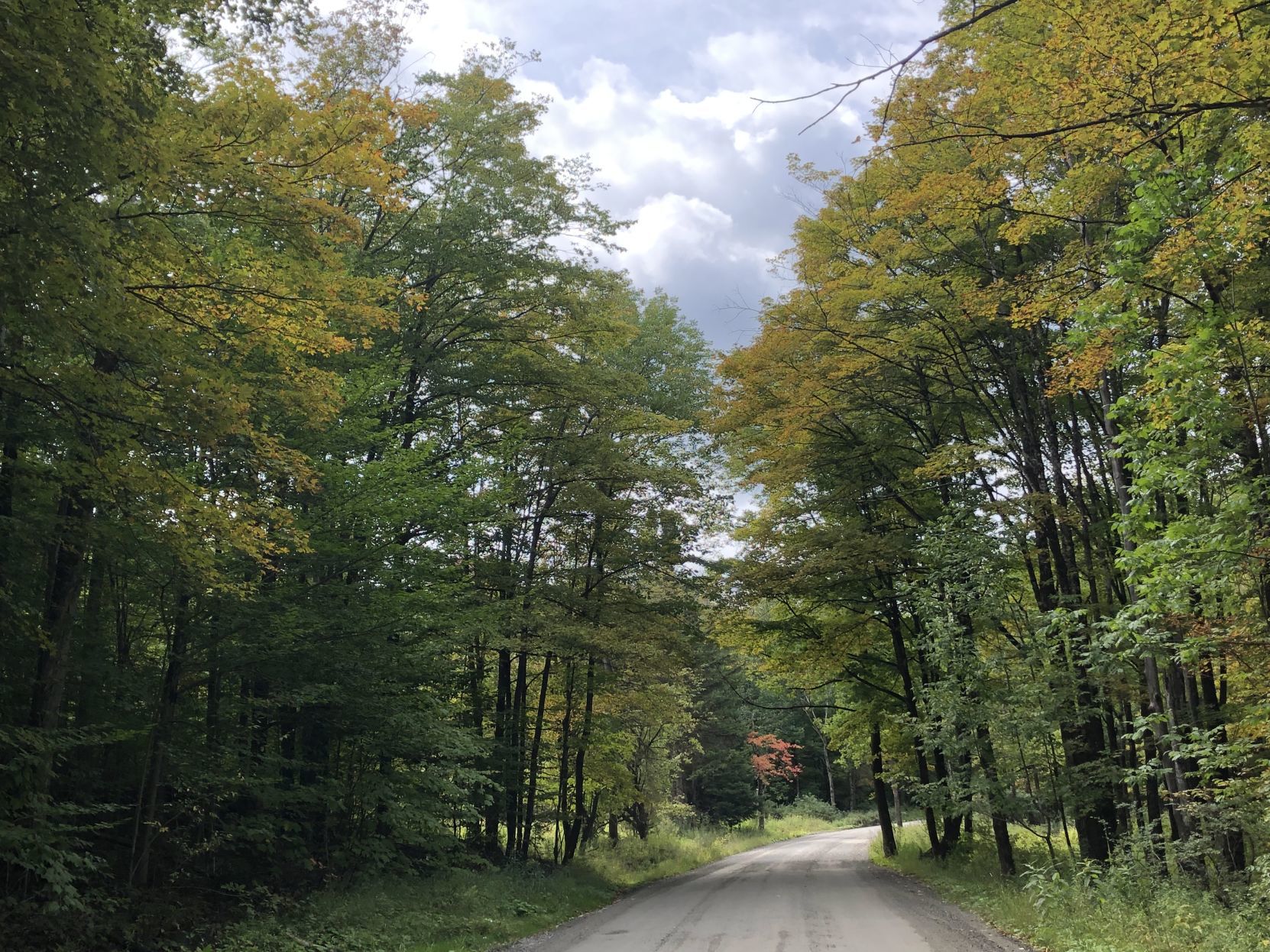 Foliage in Fort Ann